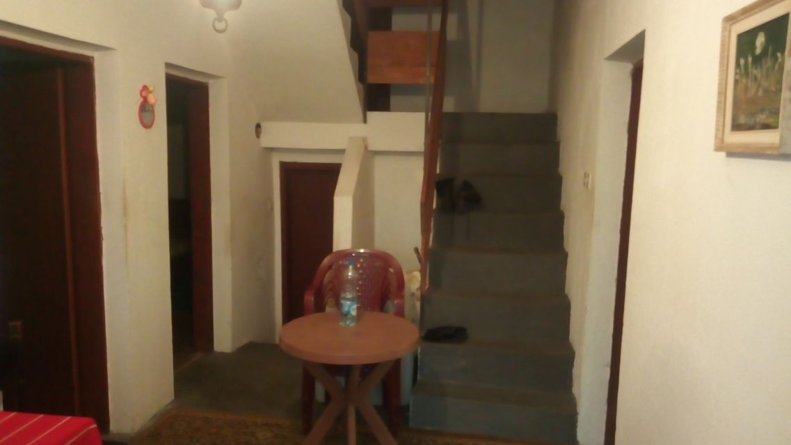 Vojvođanska 31, Zasavica - 4