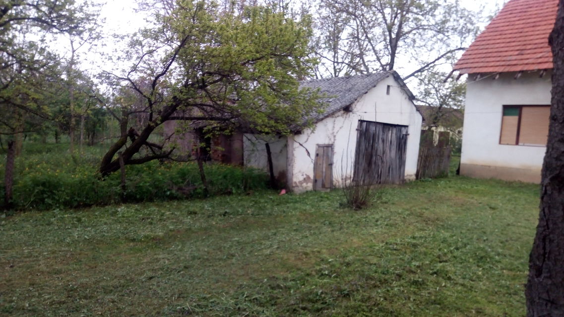 Vojvođanska 31, Zasavica - 13