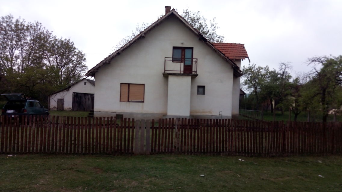 Vojvođanska 31, Zasavica