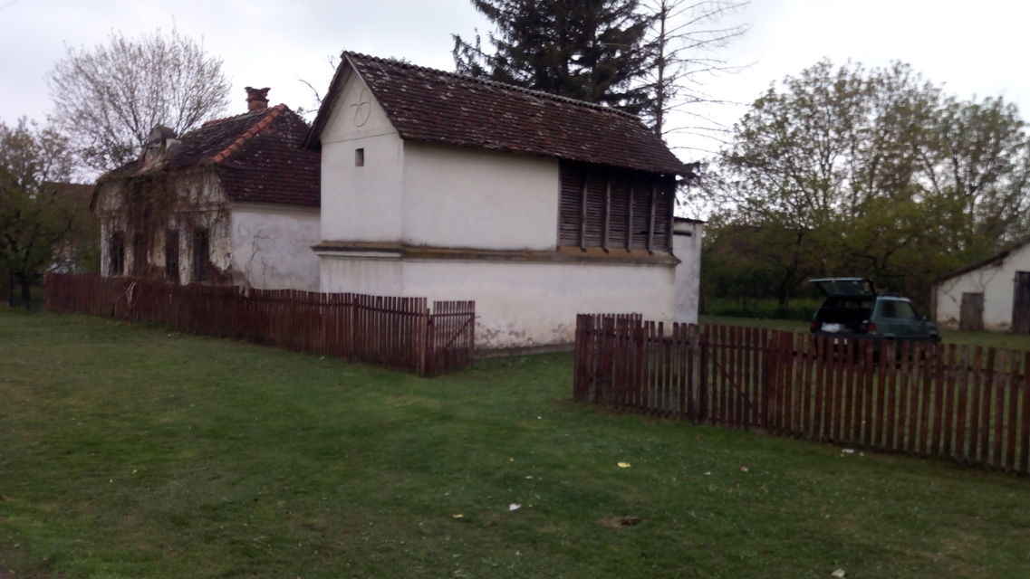 Vojvođanska 31, Zasavica - 10