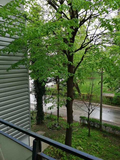 Trnavska 1, Čačak - 17