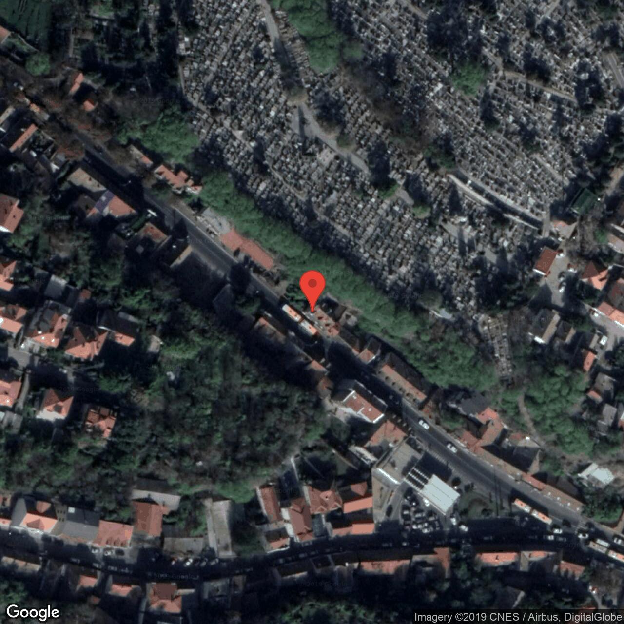 Cara Dušana 10, Beograd