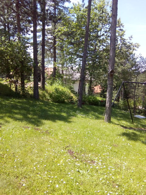 Dragutina Bukvića 15, Zlatibor - 4