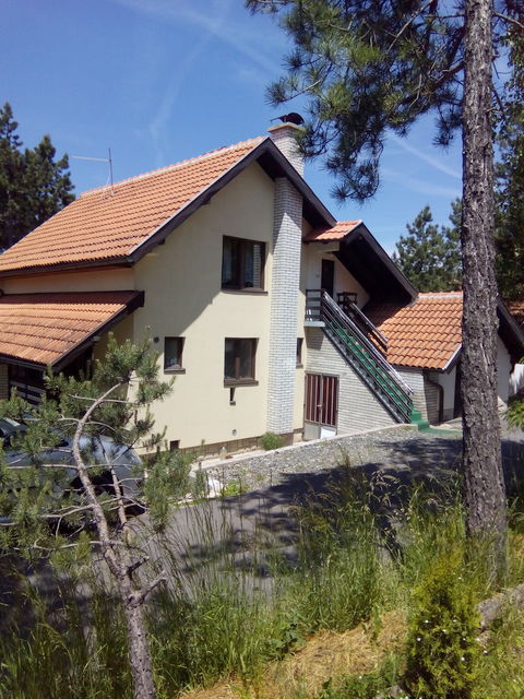 Dragutina Bukvića 15, Zlatibor