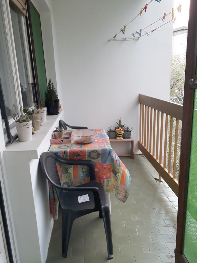 Vidovdanska 11, Bačka Topola - 4