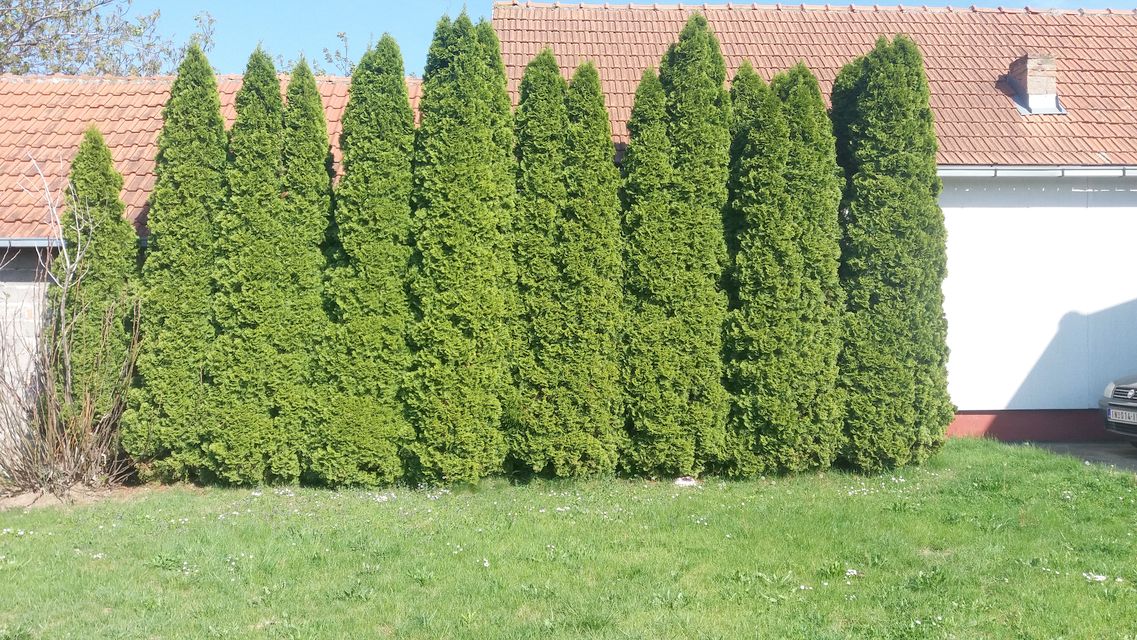 Omladinska 14, Beška - 16