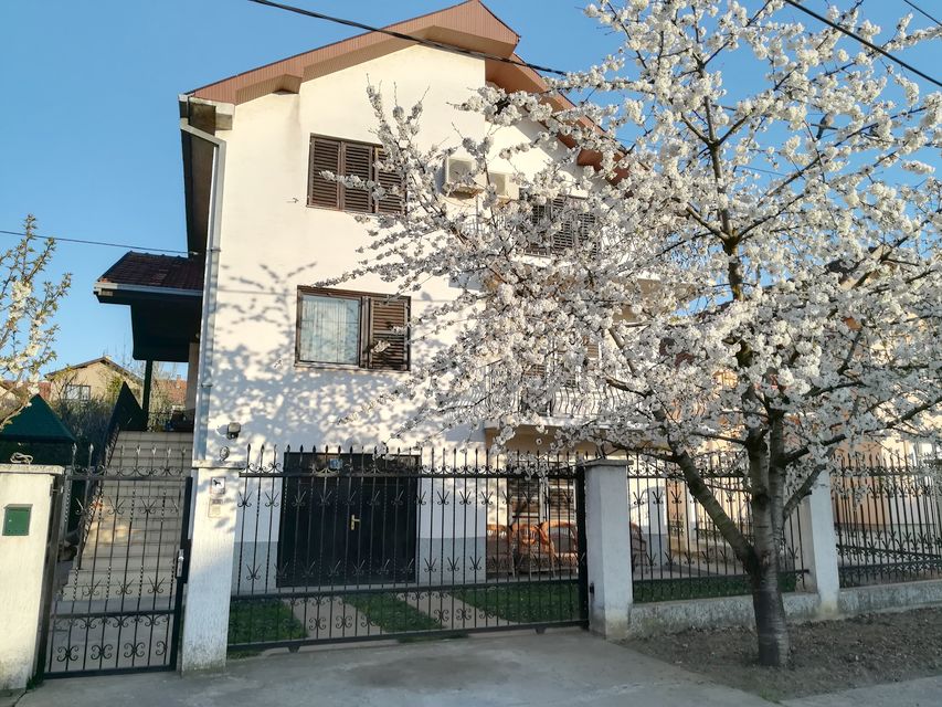 Irene Zeković 13, Smederevo - 1