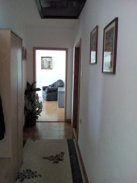 Hajduk Veljkova 3, Banja Koviljača - 12