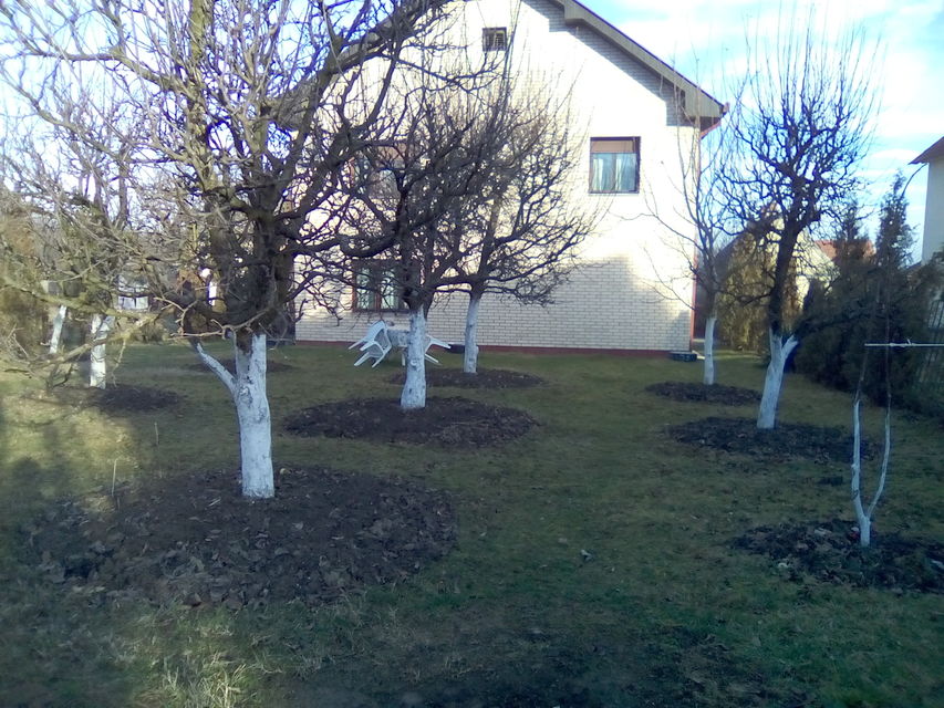 Hajduk Veljkova 3, Banja Koviljača - 9