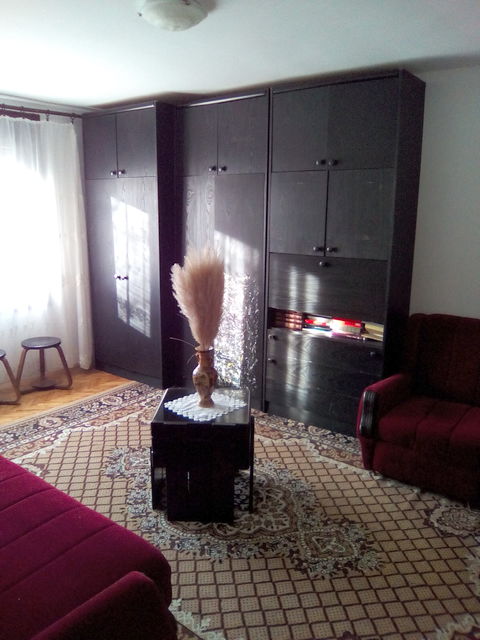 Hajduk Veljkova 3, Banja Koviljača - 6