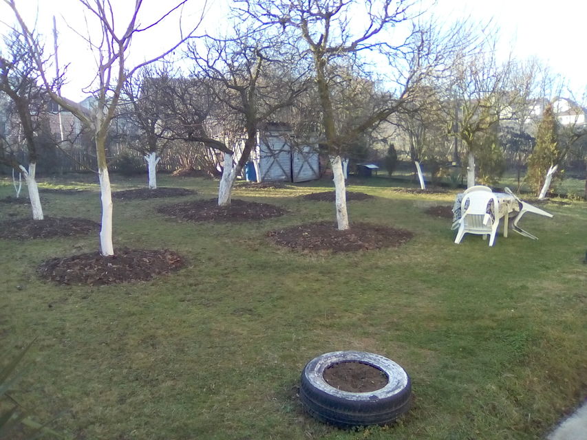 Hajduk Veljkova 3, Banja Koviljača - 10