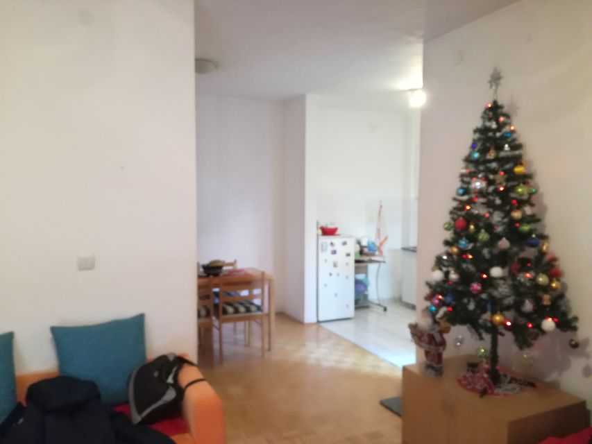 Dušana Radovića 9a, Beograd - 8