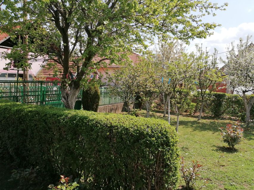 Jelička 7, Niš - 4