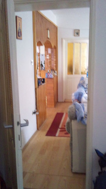 Jelička 7, Niš - 16