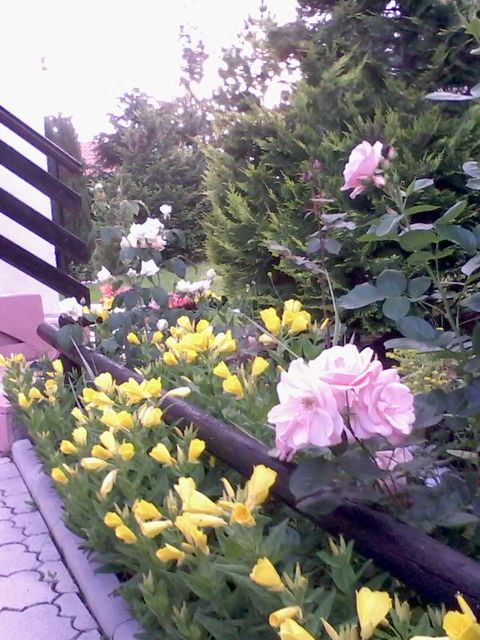 Ugostiteljska 21, Zlatibor - 5