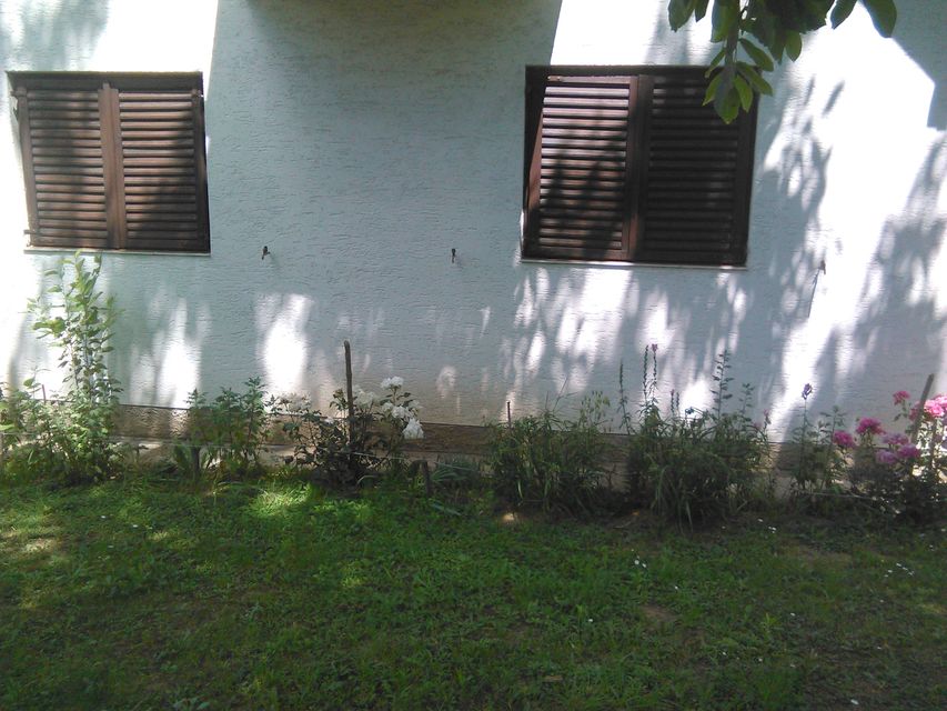 Stari Šor  41, Čortanovci - 3