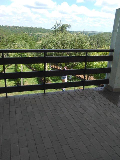 Stari Šor  41, Čortanovci - 2