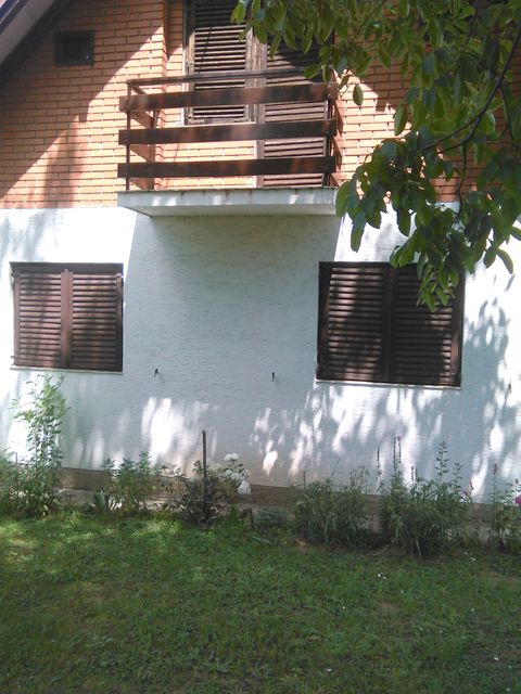 Stari Šor  41, Čortanovci - 1