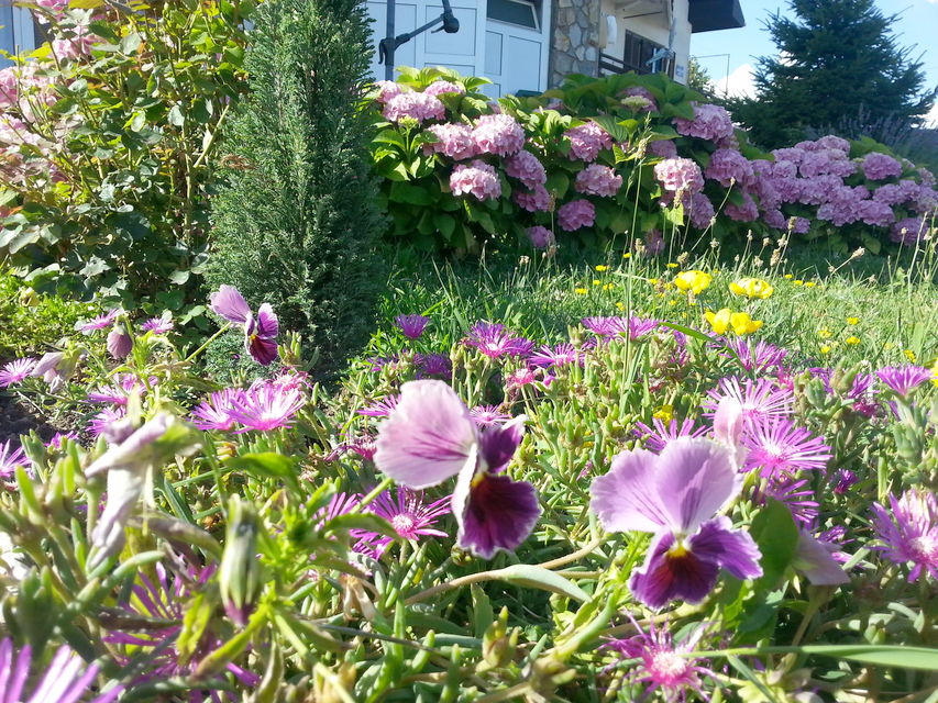 Crnovrških brigada 22, Bor - 3