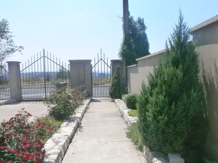 Crnovrških brigada 22, Bor - 11