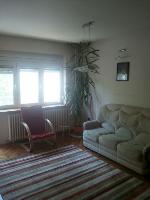 Boška Buhe 6, Novi Sad - 3