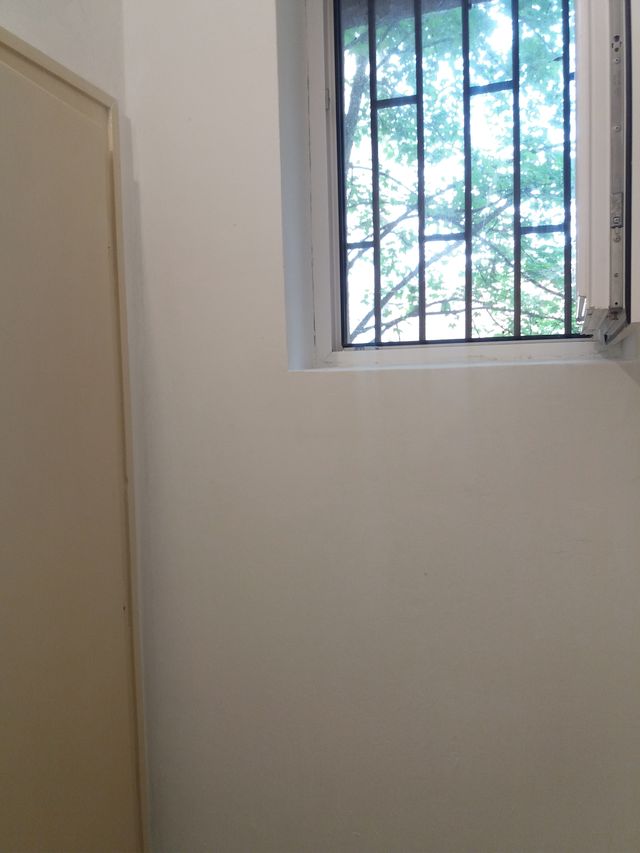 Loznička 1, Beograd - 12