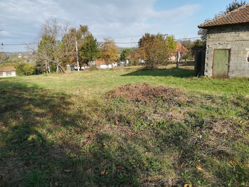 Topola bb-1, Donja Šatornja - 4