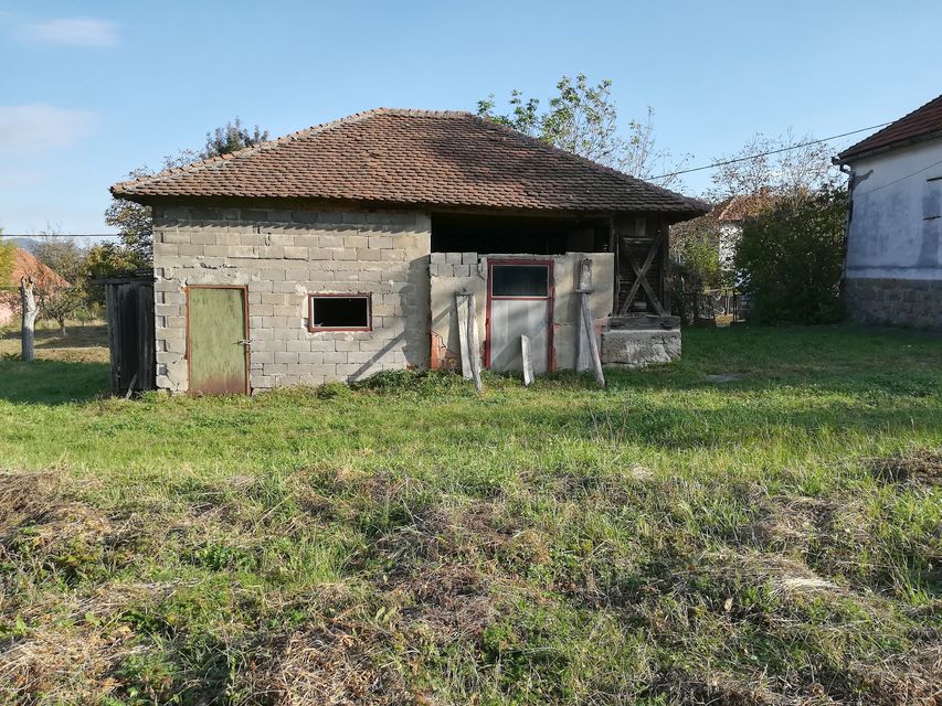 Topola bb-1, Donja Šatornja - 6