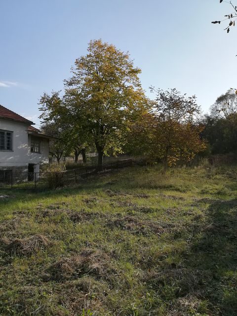 Topola bb-1, Donja Šatornja - 5