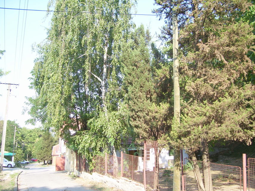 Braće Anđelića 109, Sremski Karlovci - 5