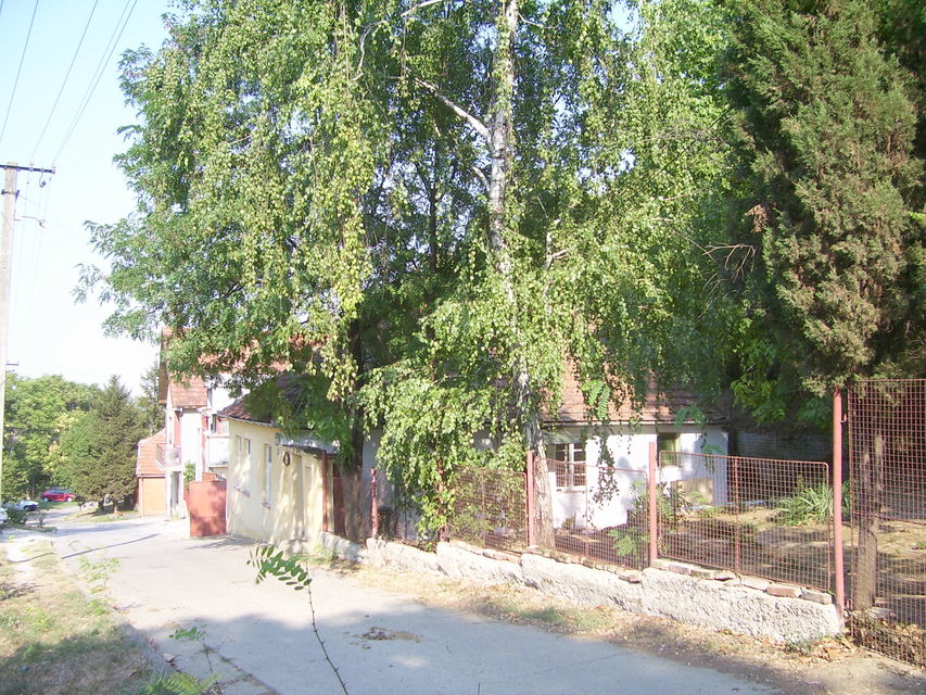 Braće Anđelića 109, Sremski Karlovci - 8