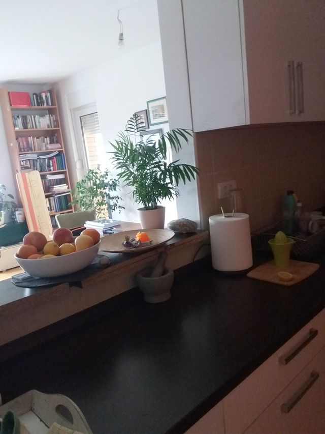 Generala Štefanika 37, Beograd - 6