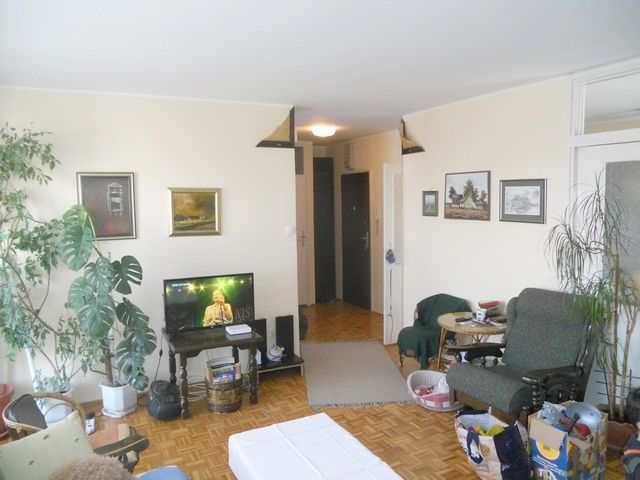 Kaće Dejanović 19, Novi Sad - 15