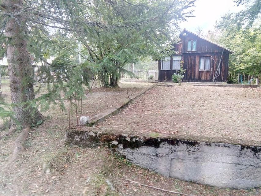 Borova glava bb-1, Zlatibor - 8