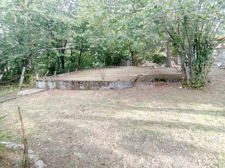 Borova glava bb-1, Zlatibor - 11