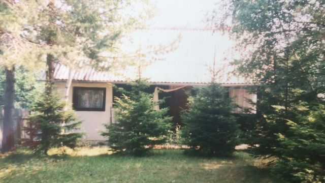 Borova glava bb-1, Zlatibor - 7