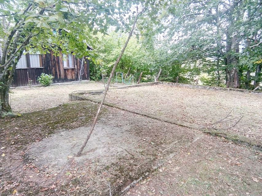 Borova glava bb-1, Zlatibor - 10