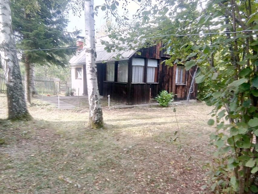 Borova glava bb-1, Zlatibor - 3