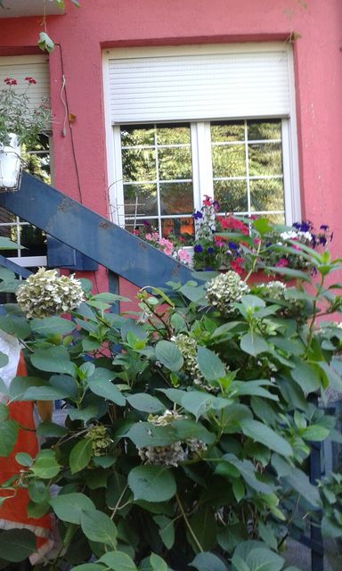 Kadinjačka 55, Beograd - 2