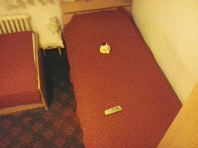 Marijane Gregoran 51, Beograd - 3