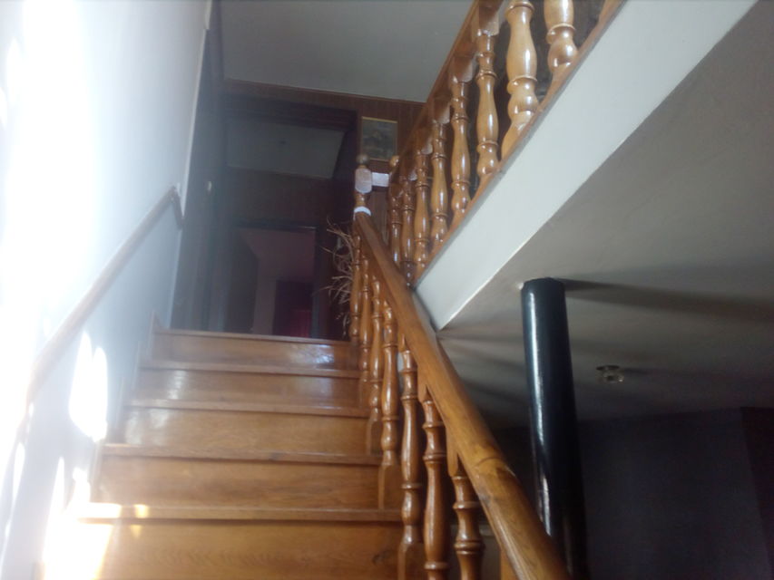 Zeke Buljubaše 19, Leskovac - 5