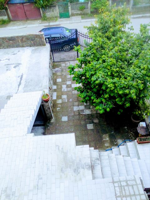 Zeke Buljubaše 19, Leskovac - 1