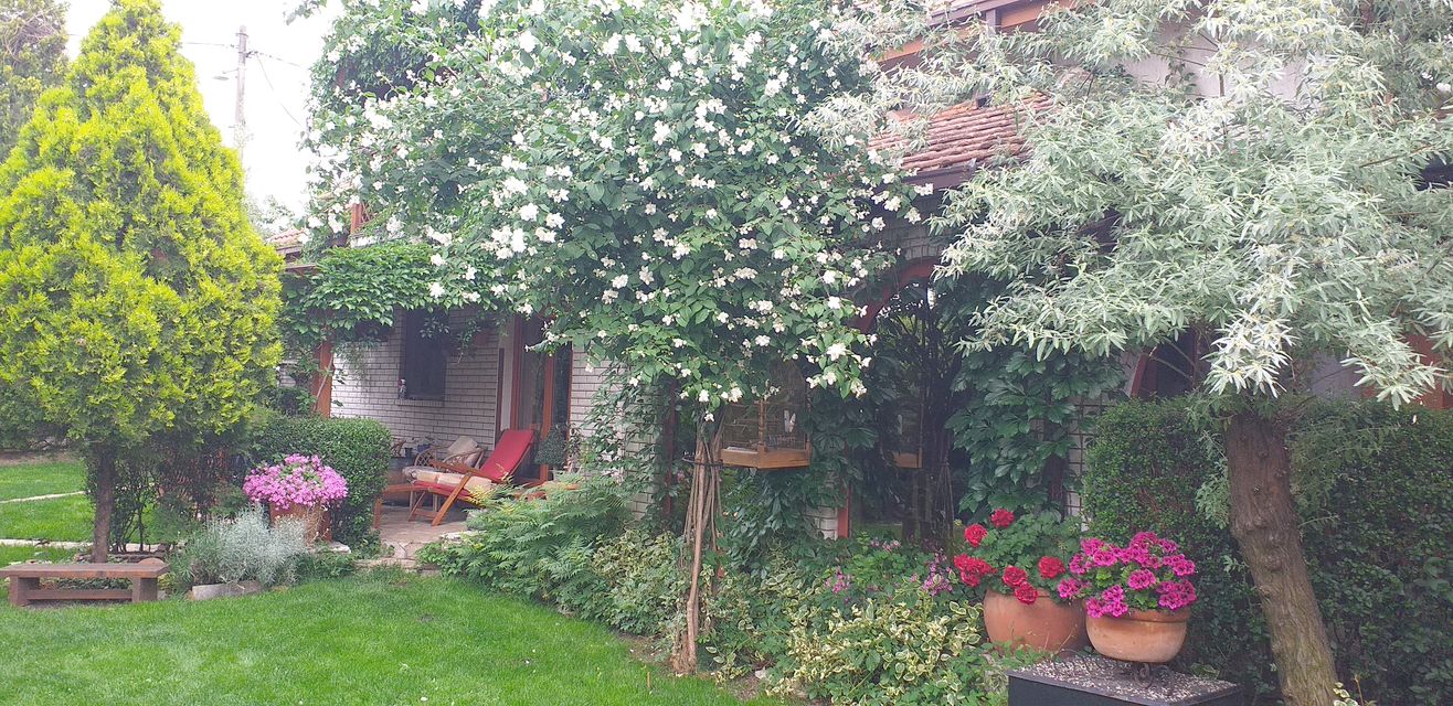 Bulevar JNA 138v, Beograd - 26