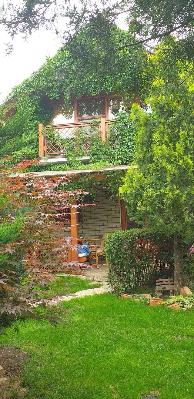 Bulevar JNA 138v, Beograd - 27