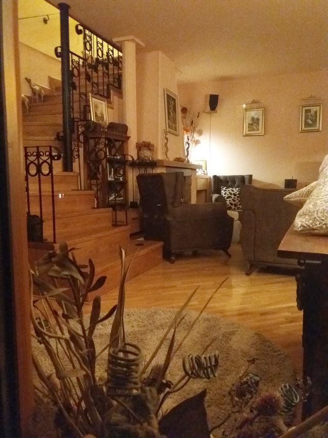 Bulevar JNA 138v, Beograd - 17