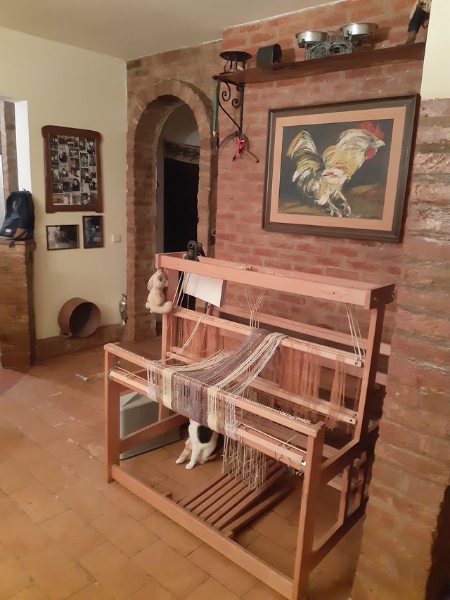 Lazara Mamuzića 26, Beograd