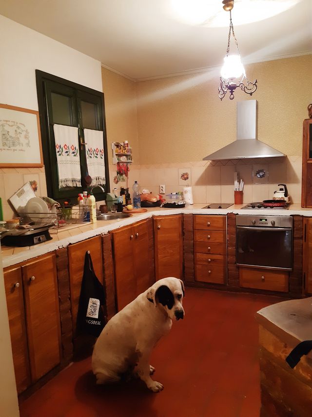 Lazara Mamuzića 26, Beograd - 5