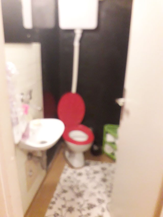 Bulevar Nemanjića 46, Niš - 7