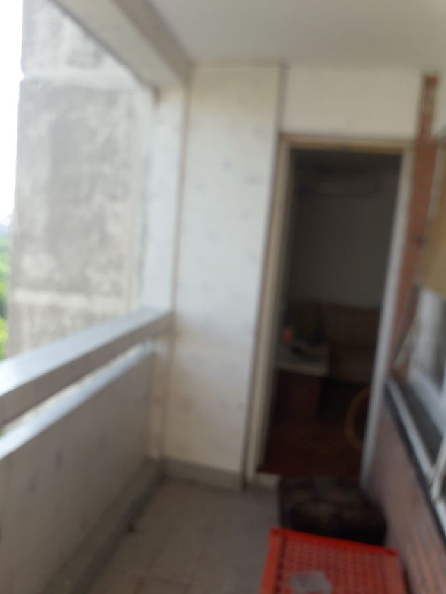 Bulevar Nemanjića 46, Niš - 13