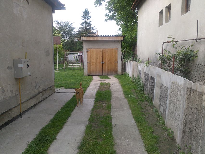 Stanoja Glavaša 100, Novi Sad - 7